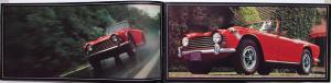 1968-69 Triumph TR-250 Dealer Sales Brochure Convertible Features & Options Rare